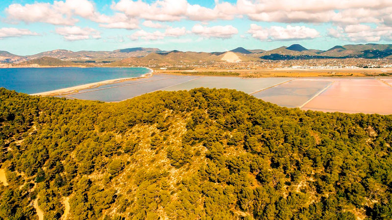 Parque Natural de Ses Salines